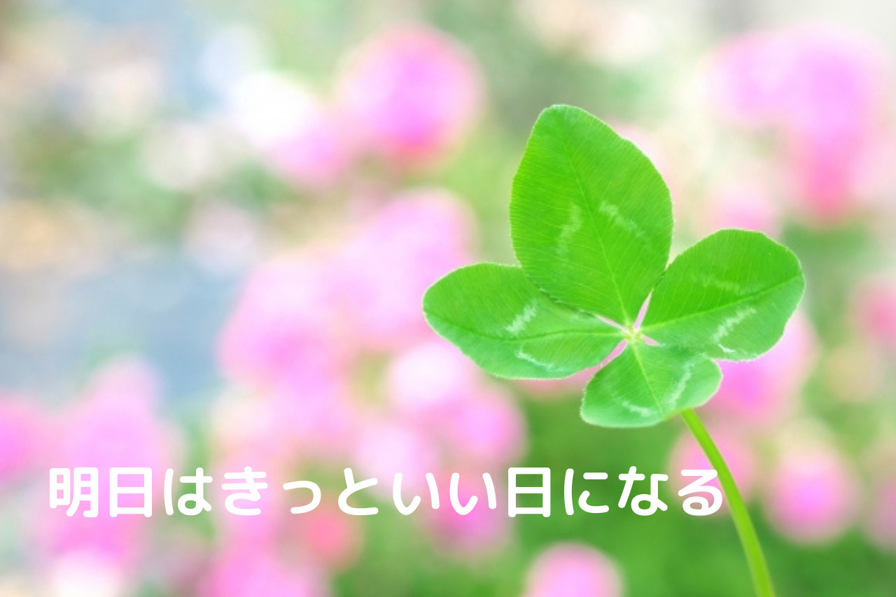 人生に行き詰まったあなたへ 心に響く言葉がきっと助けてくれる 猫足のちえぶくろ